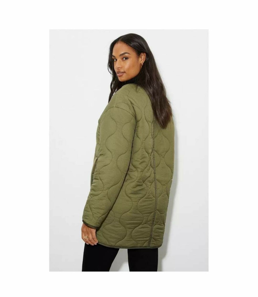 * Pertemba Hot Selling Dorothy Perkins Womens/Ladies Contrast Collarless Padded Jacket (Sage) Utdp606 Clearance